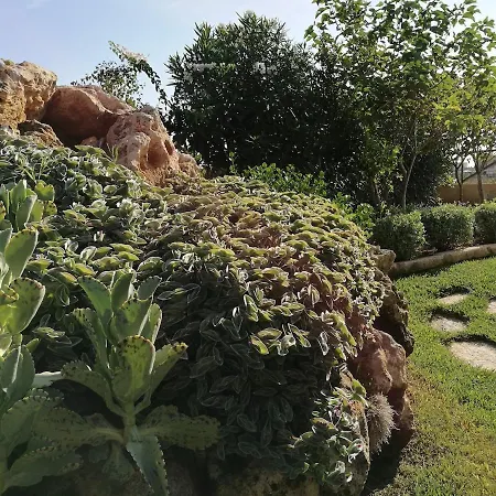 La Conchiglia Holiday home